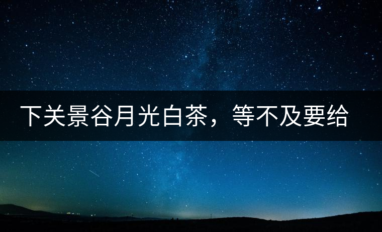 下關景谷月光白茶，等不及要給你的思念