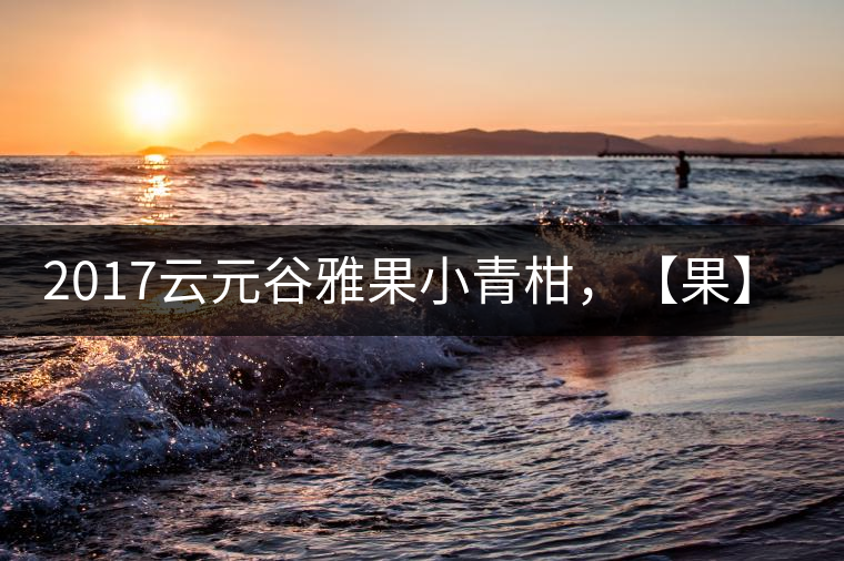 2017云元谷雅果小青柑，【果】真來了