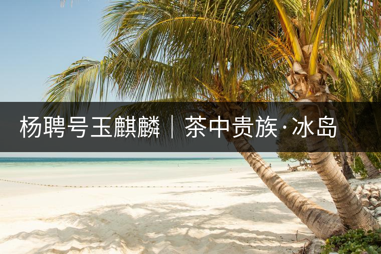 楊聘號玉麒麟｜茶中貴族·冰島古樹