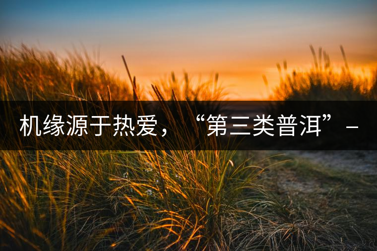 機(jī)緣源于熱愛，“第三類普洱”——“散壓茶TM”的誕生。