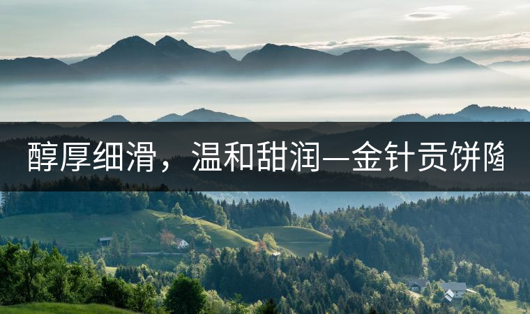 醇厚細(xì)滑，溫和甜潤(rùn)—金針貢餅隆重上市！