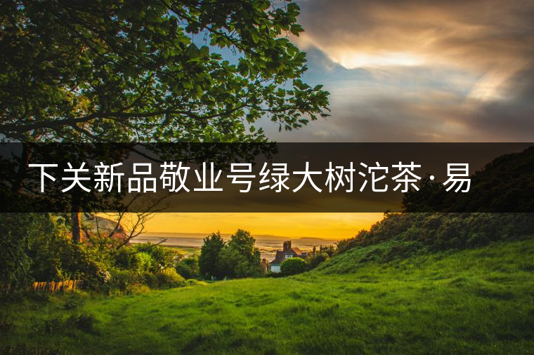 下關(guān)新品敬業(yè)號綠大樹沱茶·易武刮風寨 下關(guān)新品敬業(yè)號綠大樹沱茶·易武刮風寨