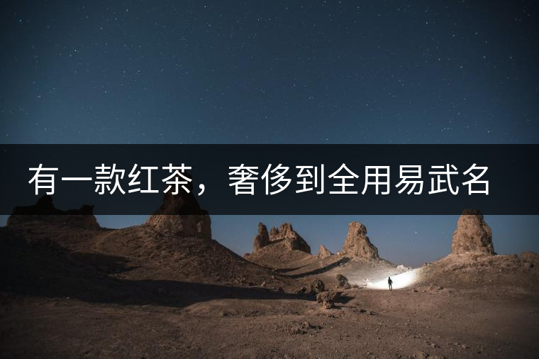 有一款紅茶，奢侈到全用易武名寨古樹茶發(fā)酵！