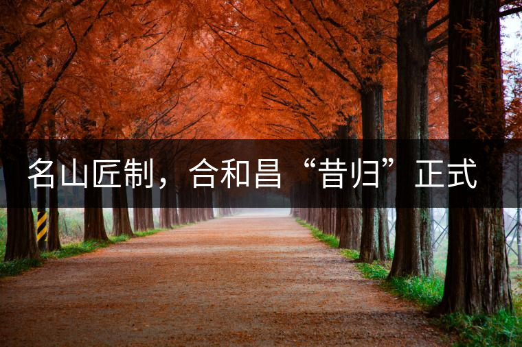 名山匠制，合和昌“昔歸”正式上市