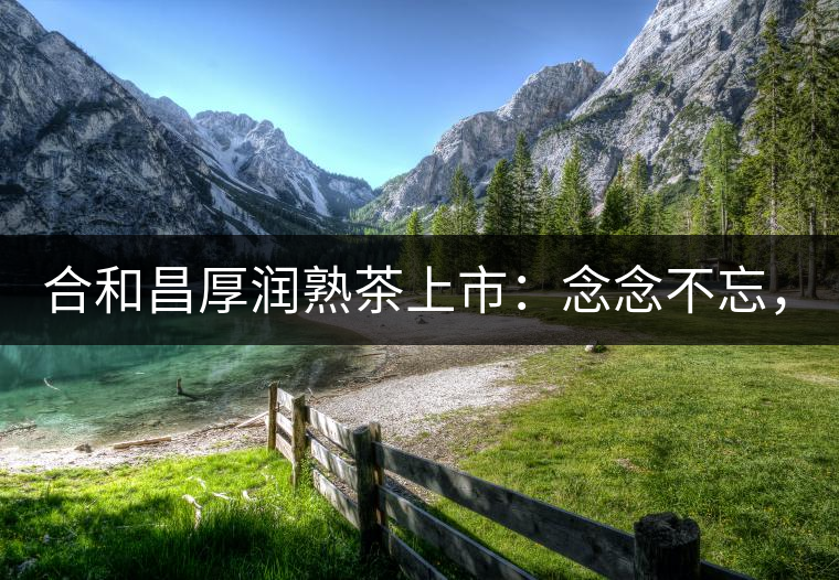 合和昌厚潤熟茶上市：念念不忘，必有回響！