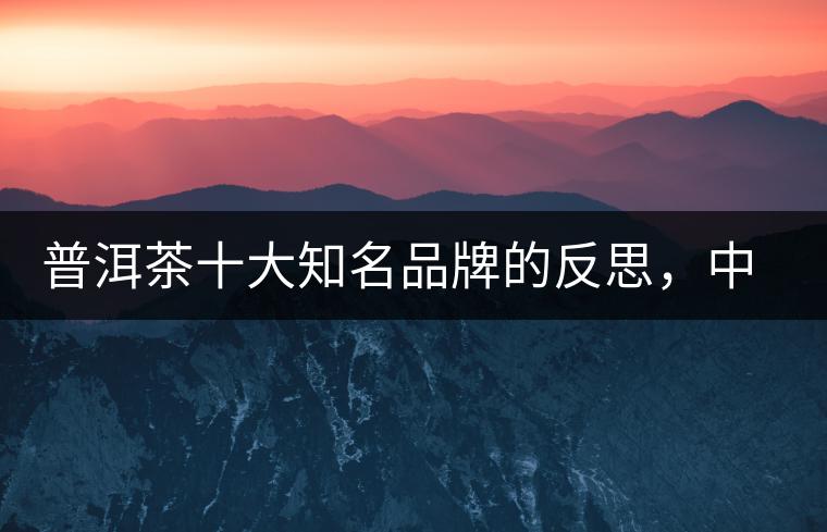 普洱茶十大知名品牌的反思，中國有沒有真正的普洱茶高端品牌？