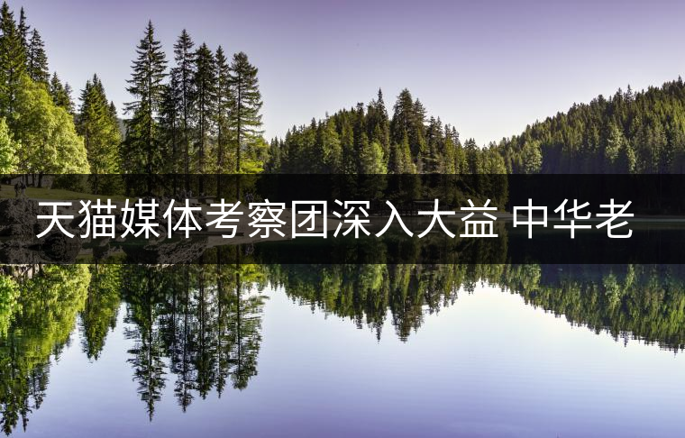 天貓媒體考察團(tuán)深入大益 中華老字號也是時尚文化 天貓媒體考察團(tuán)深入大益 中華老字號也是時尚文化