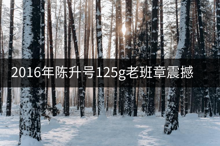 2016年陳升號(hào)125g老班章震撼上市 2016年陳升號(hào)125g老班章震撼上市