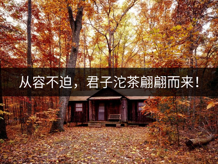 從容不迫，君子沱茶翩翩而來！