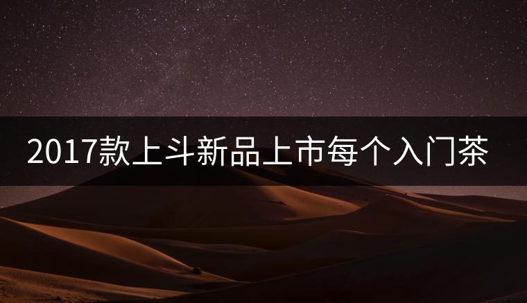 2017款上斗新品上市每個入門茶人都欠自己一餅上斗！