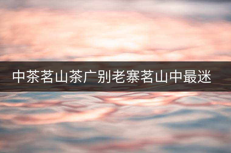 中茶茗山茶廣別老寨茗山中最迷人的那首“詩(shī)”
