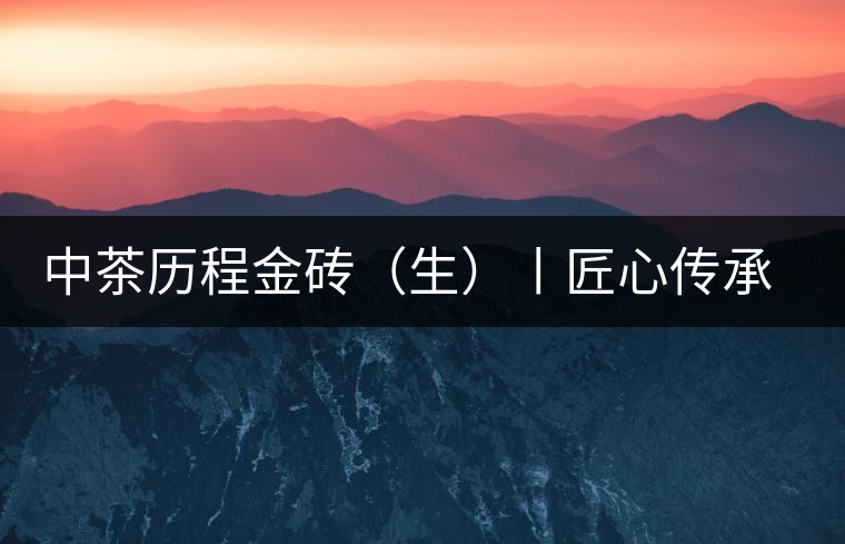 中茶歷程金磚（生）丨匠心傳承，精品迭出