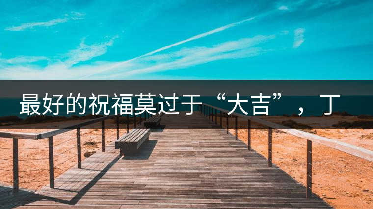 最好的祝福莫過于“大吉”，丁酉年生肖餅震撼來襲！