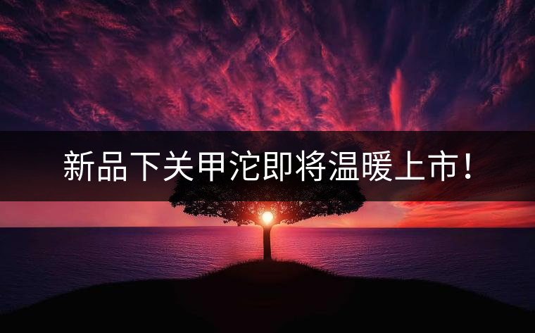 新品下關(guān)甲沱即將溫暖上市！