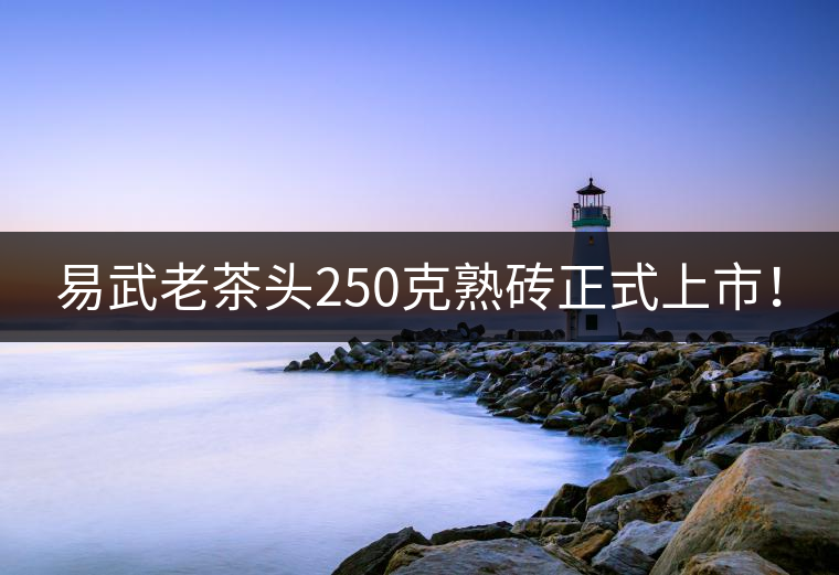 易武老茶頭250克熟磚正式上市！
