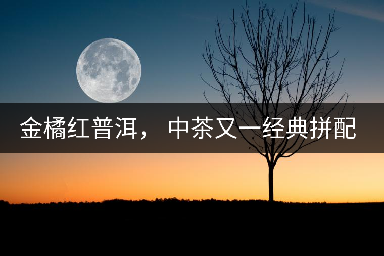 金橘紅普洱， 中茶又一經(jīng)典拼配力作，值得期待！