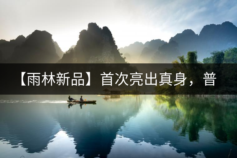 【雨林新品】首次亮出真身，普洱茶史上第一件新班章！