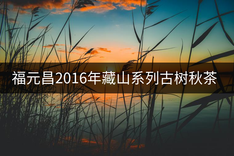 福元昌2016年藏山系列古樹秋茶全部上市！