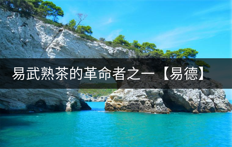 易武熟茶的革命者之一【易德】正式上市 易武熟茶的革命者之一【易德】正式上市