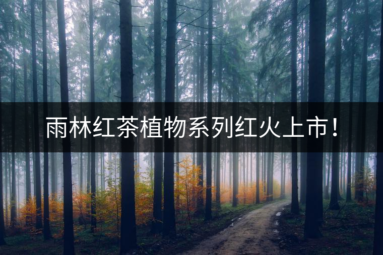 雨林紅茶植物系列紅火上市！