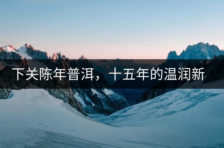 下關(guān)陳年普洱，十五年的溫潤(rùn)新生