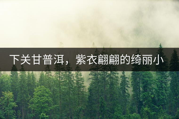 下關(guān)甘普洱，紫衣翩翩的綺麗小餅