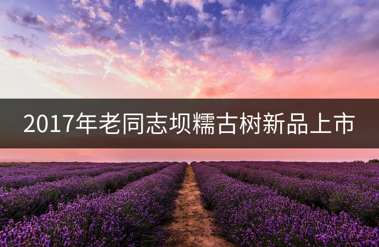 2017年老同志壩糯古樹新品上市