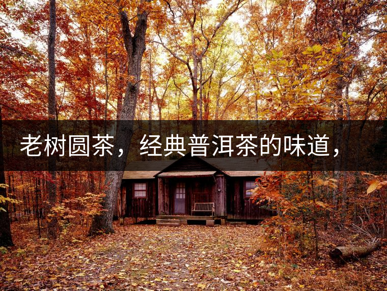 老樹圓茶，經(jīng)典普洱茶的味道，即將上市