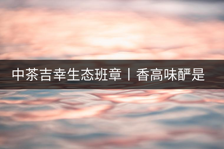 中茶吉幸生態(tài)班章丨香高味釅是王者，且品且珍惜