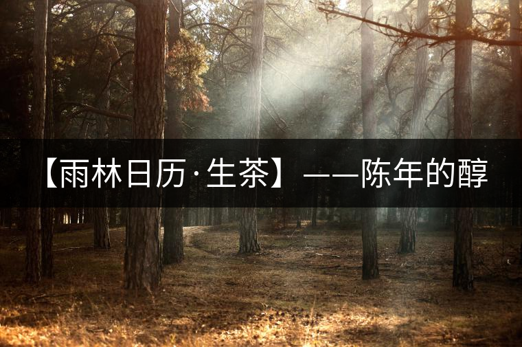 【雨林日歷·生茶】——陳年的醇，老料的香！