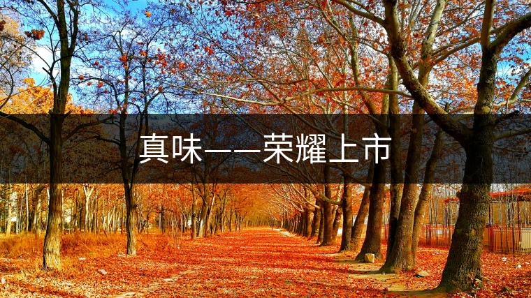 真味——榮耀上市 真味——榮耀上市