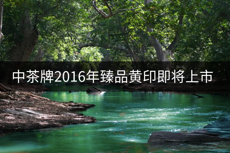 中茶牌2016年臻品黃印即將上市！