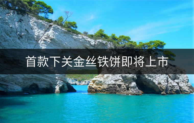 首款下關(guān)金絲鐵餅即將上市