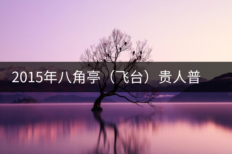 2015年八角亭（飛臺）貴人普洱茶生茶上市