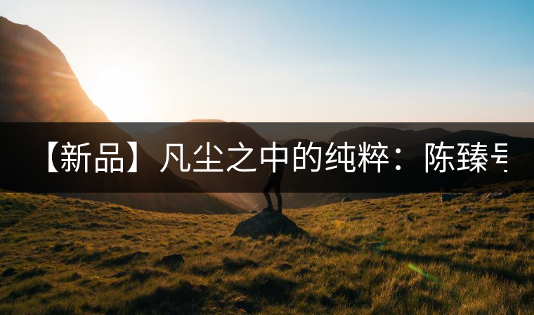 【新品】凡塵之中的純粹：陳臻號2016年精品青餅即將上市！