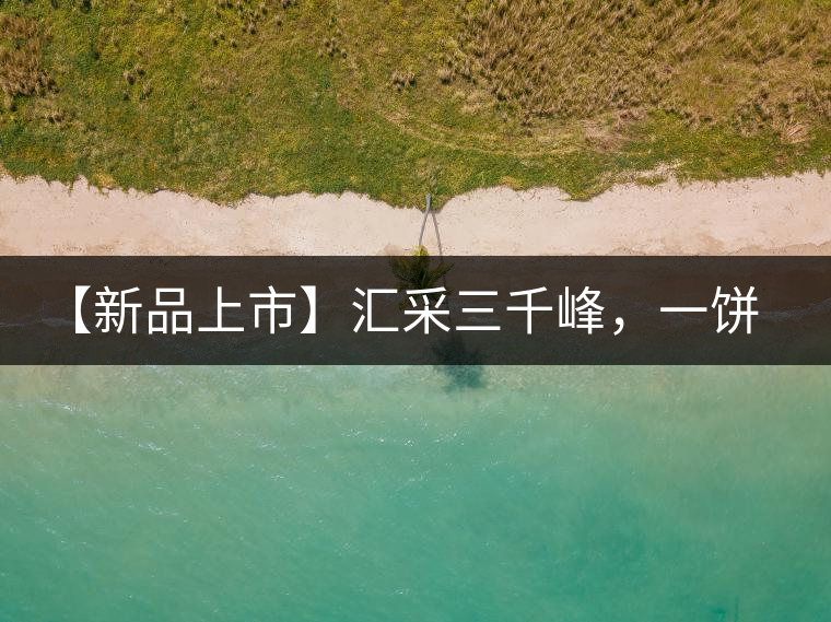 【新品上市】匯采三千峰，一餅群山鑄——群峰之峻！