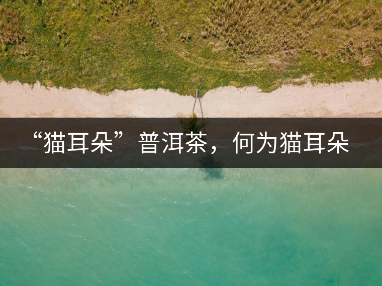 “貓耳朵”普洱茶，何為貓耳朵？