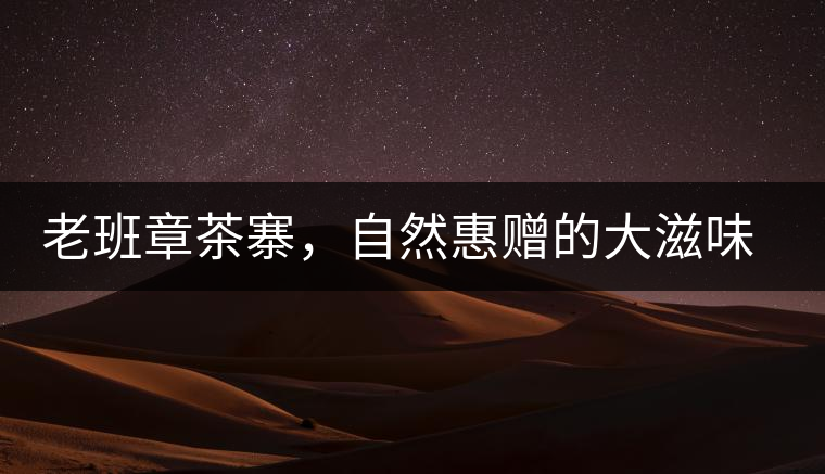 老班章茶寨，自然惠贈(zèng)的大滋味，大滿足