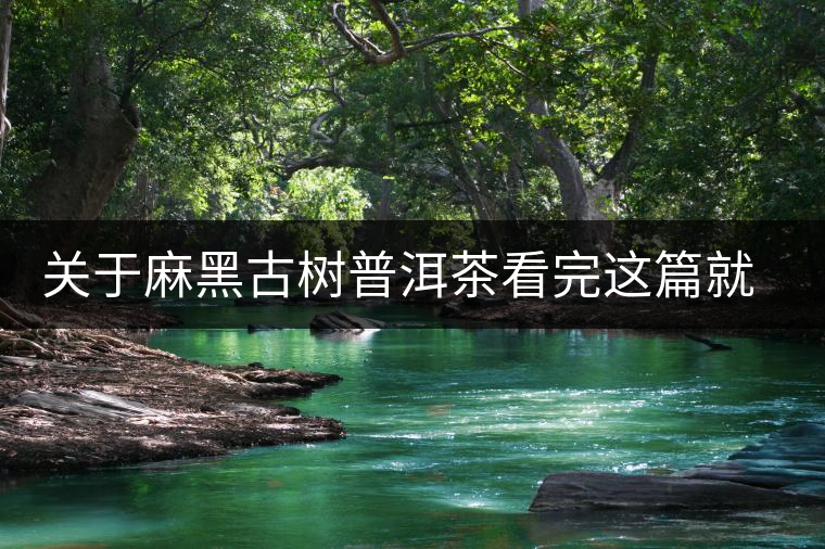 關(guān)于麻黑古樹普洱茶看完這篇就能進(jìn)階了 關(guān)于麻黑古樹普洱茶看完這篇就能進(jìn)階了