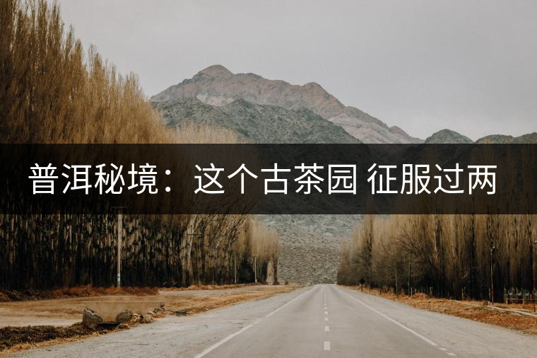 普洱秘境：這個(gè)古茶園 征服過(guò)兩任皇帝