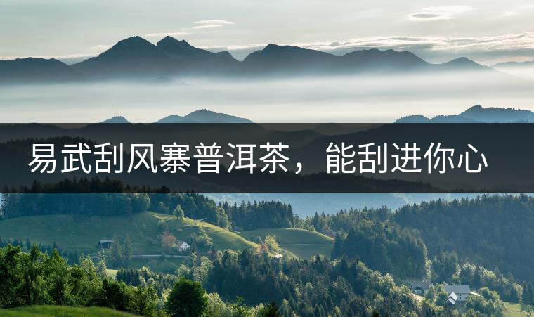 易武刮風(fēng)寨普洱茶，能刮進(jìn)你心中的一道風(fēng)