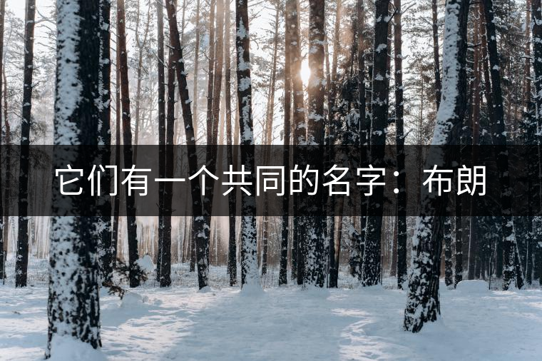 它們有一個(gè)共同的名字：布朗