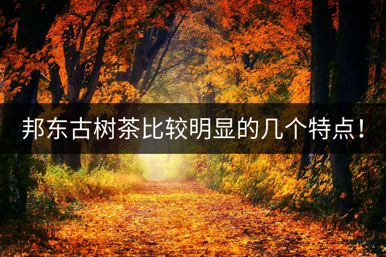 邦東古樹茶比較明顯的幾個特點！