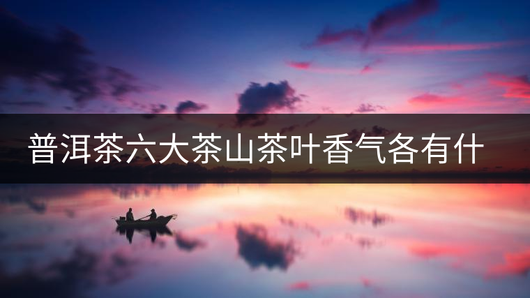 普洱茶六大茶山茶葉香氣各有什么特點(diǎn)？