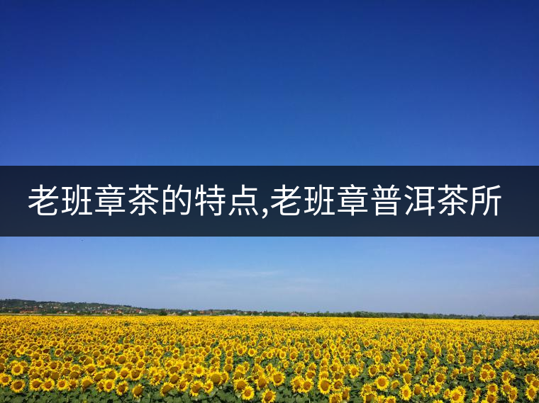 老班章茶的特點,老班章普洱茶所具有的7大特點