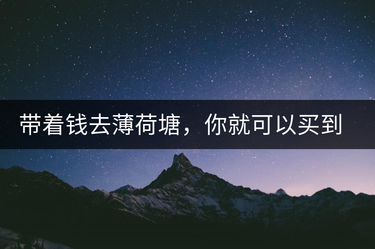 帶著錢(qián)去薄荷塘，你就可以買(mǎi)到古樹(shù)茶么？