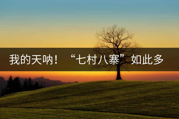我的天吶！“七村八寨”如此多的易武茶，品質(zhì)特色如何分辨？