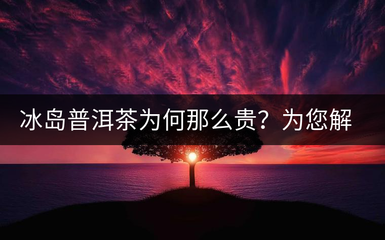 冰島普洱茶為何那么貴？為您解析其中的原由