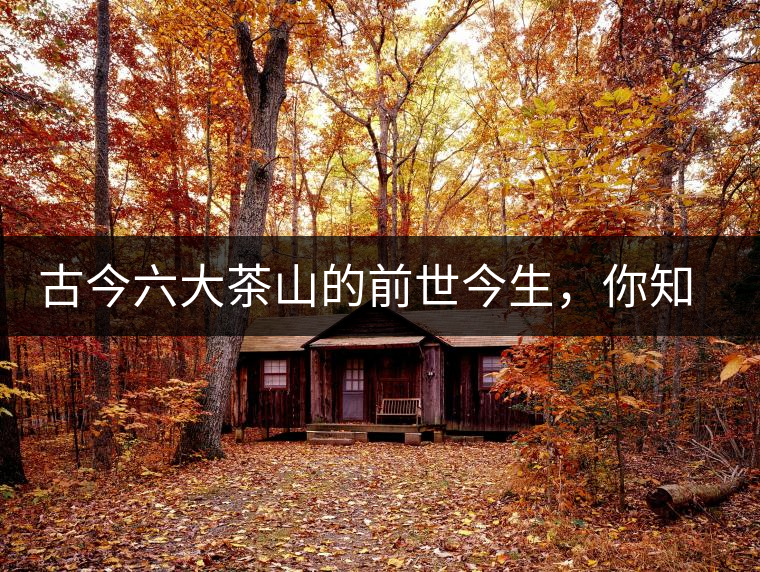 古今六大茶山的前世今生，你知多少？