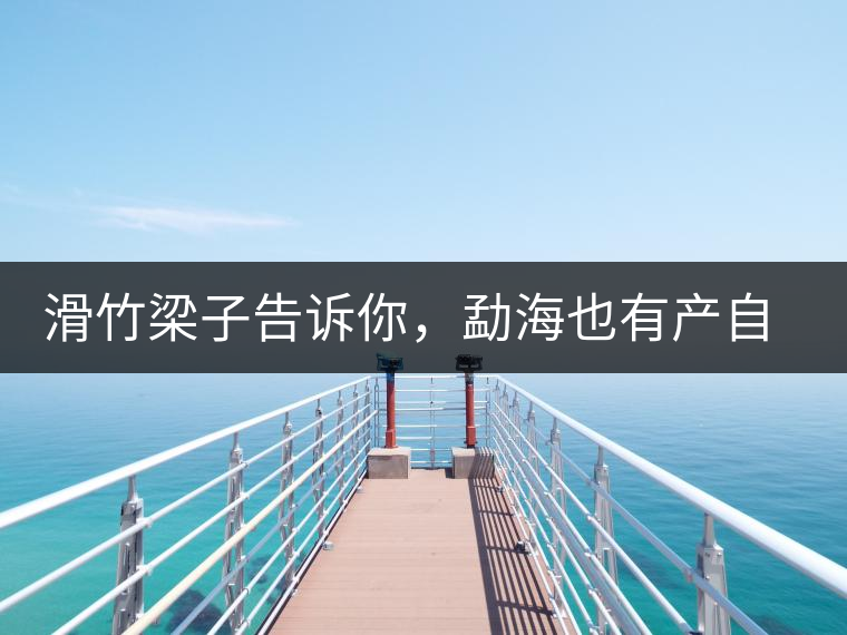 滑竹梁子告訴你，勐海也有產(chǎn)自國有林里的好茶！